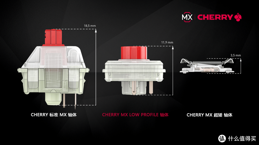 德国原厂工艺，绝美的CHERRY MX 10.0机械键盘测评！