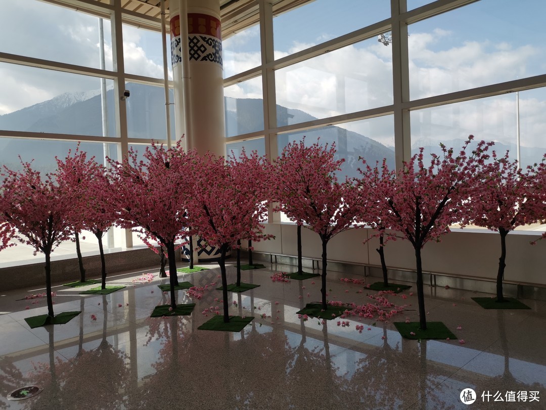 机场的出口通道可以看到这里布置有许多的假的桃花树，预示着这里的桃花节