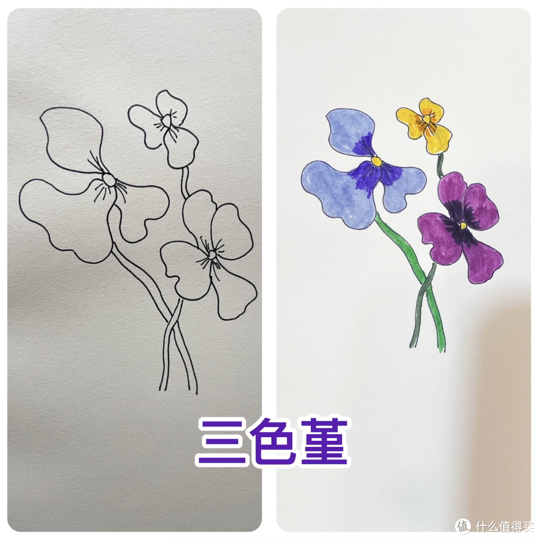 一起来画花～3种花草简易画法和绘画工具清单请收好