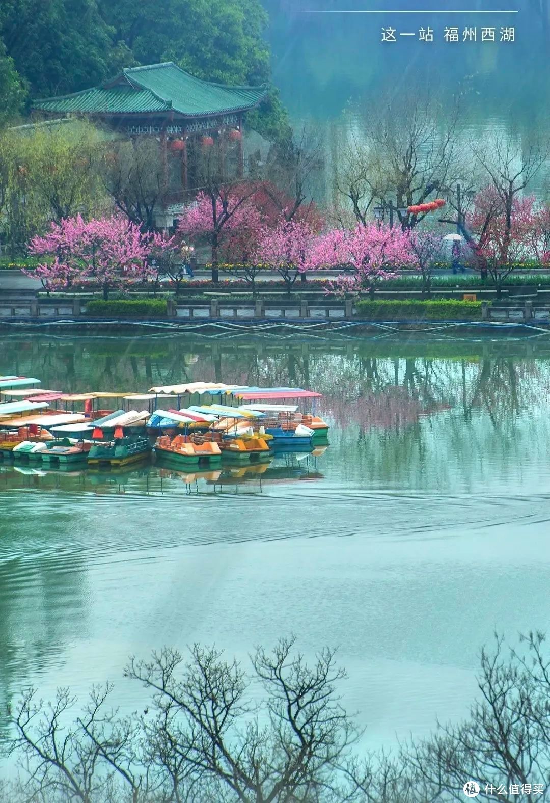 春光无限，全中国最绿的城市是这个