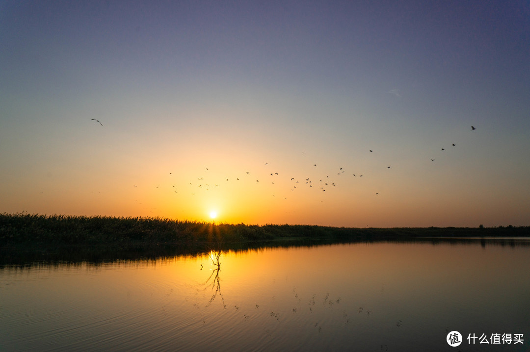 池塘普遍栖息着很多飞鸟，夕阳西下时倦鸟归巢。