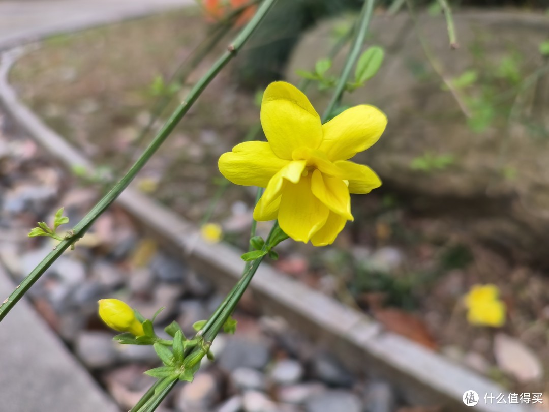 春暖花开