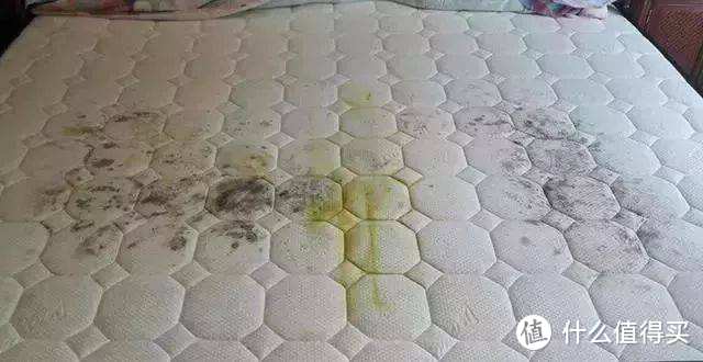 为什么一下雨床垫就长蘑菇？什么样的床垫不易发霉？
