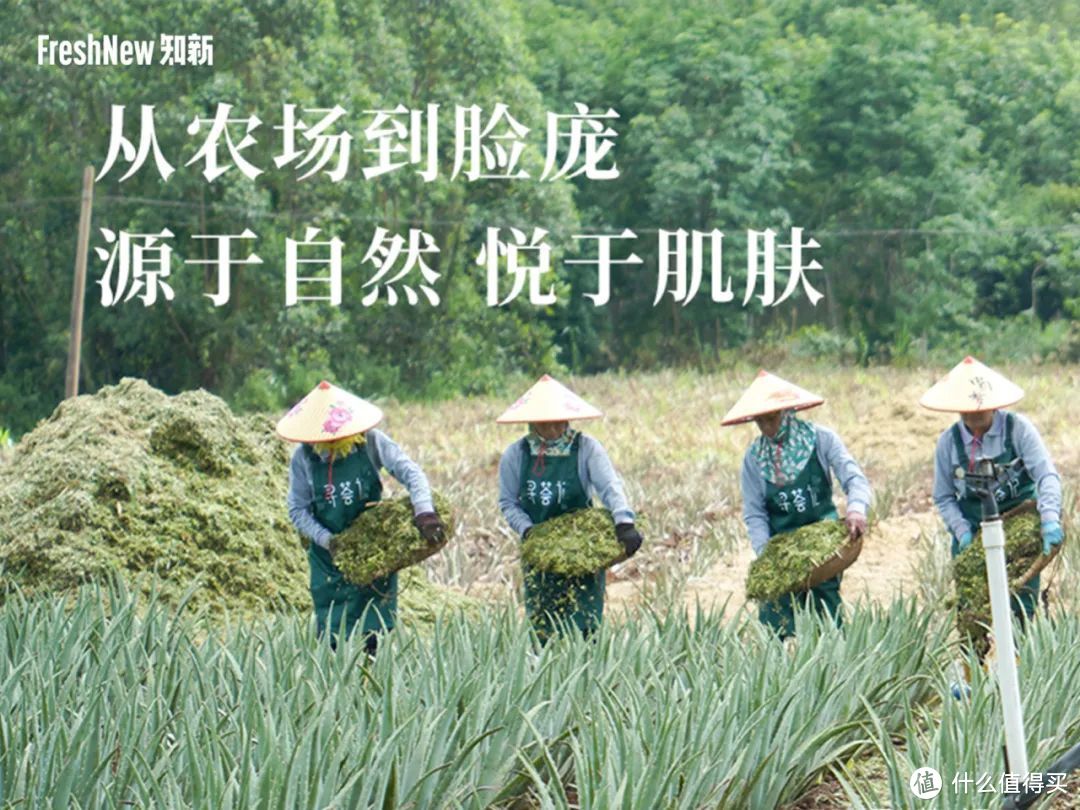 「寻荟记」创始人5问：在海南种260多万株芦荟，从原料端开始做植物护理产品