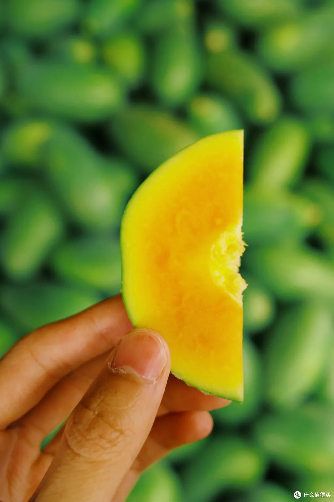 03 芒果元宇宙 03