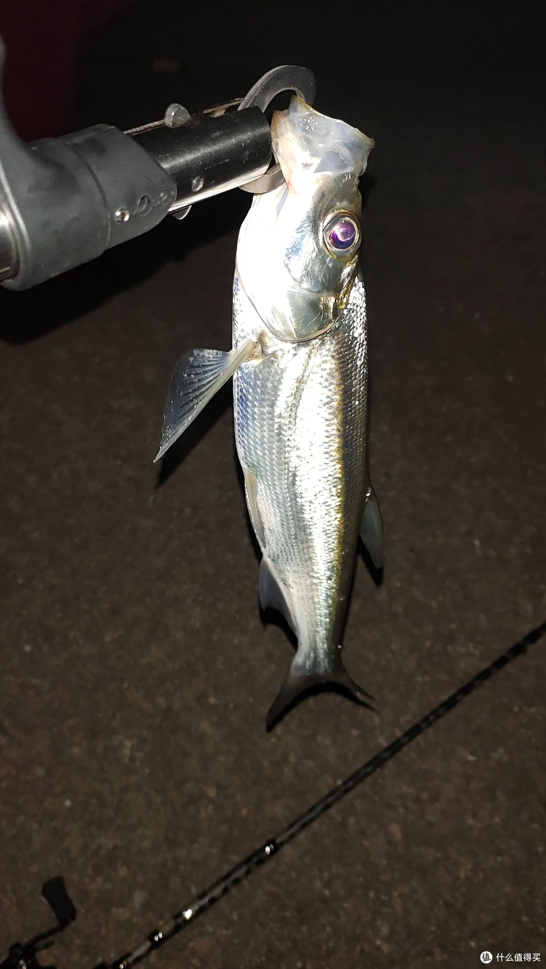 300+元的路亚套装能买吗？亲身经验说说这套斯达新手套装