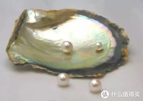 为什么有的珍珠几块钱一颗，有的却价值上亿？珍珠入门看这篇就够了！