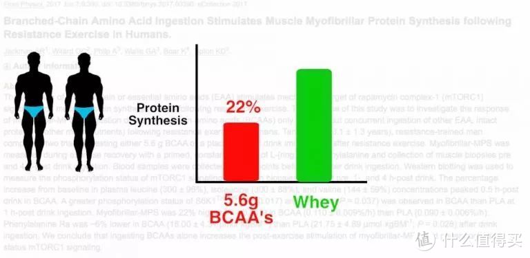 几十亿美金的市场：支链氨基酸（BCAA）对于健身人群到底有没有用？