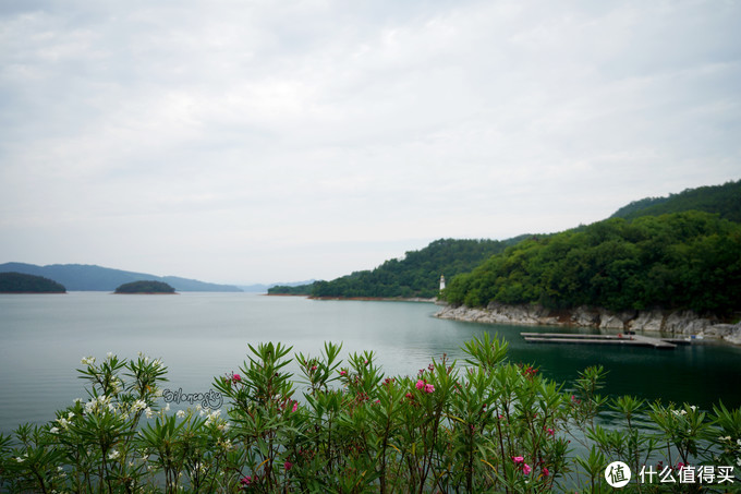 如果你去千岛湖只能住一家酒店，那就这家吧~独立避世的千岛湖洲际酒店