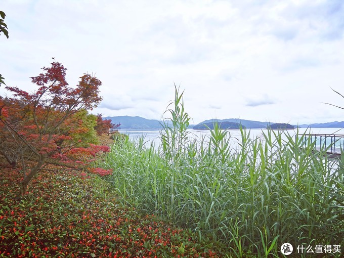 如果你去千岛湖只能住一家酒店，那就这家吧~独立避世的千岛湖洲际酒店