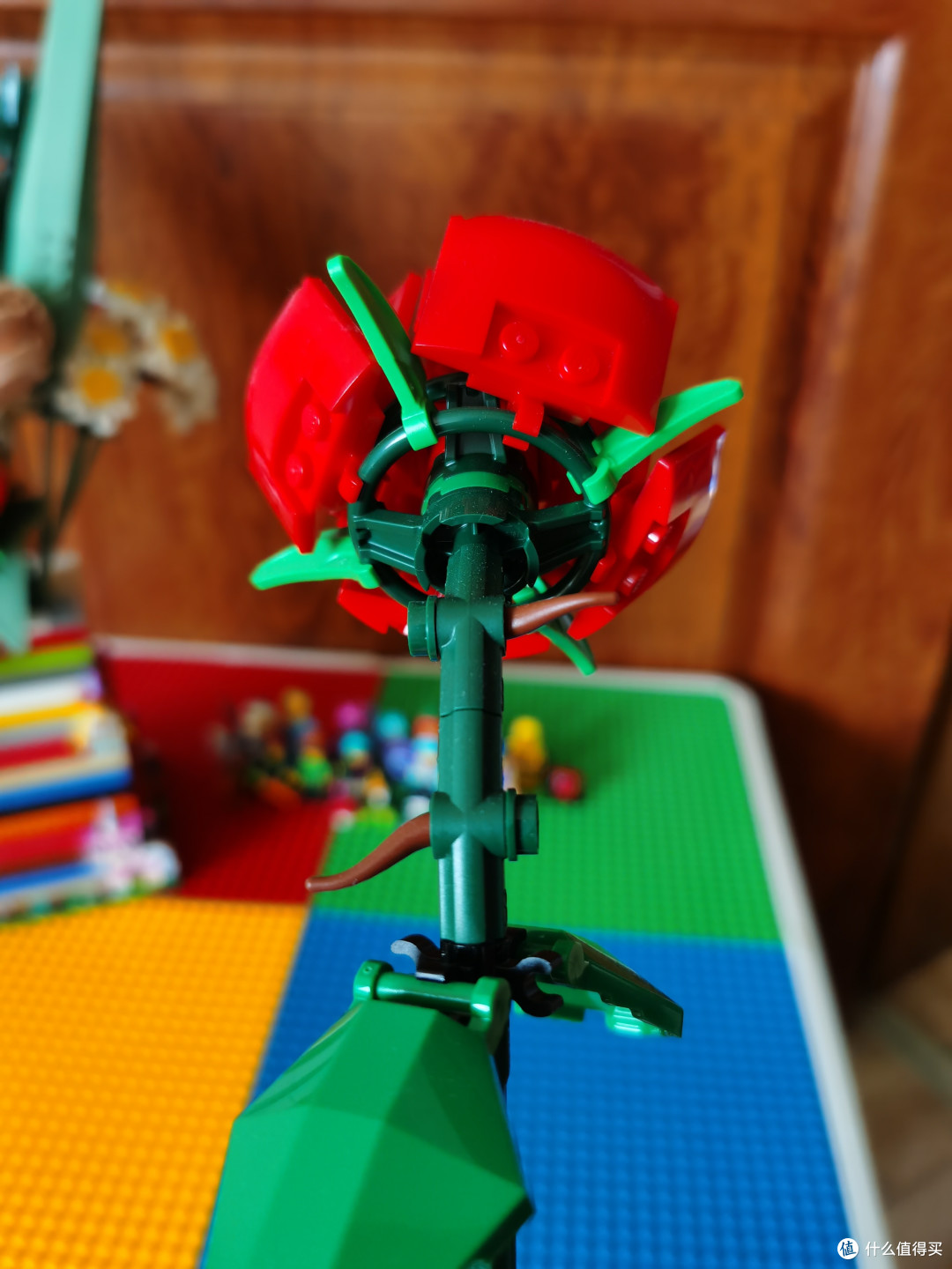 乐高40460红玫瑰开箱晒物