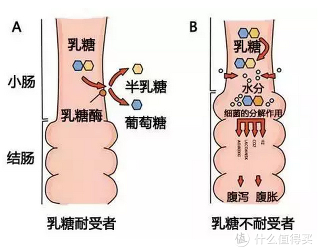 图源自网络如侵删