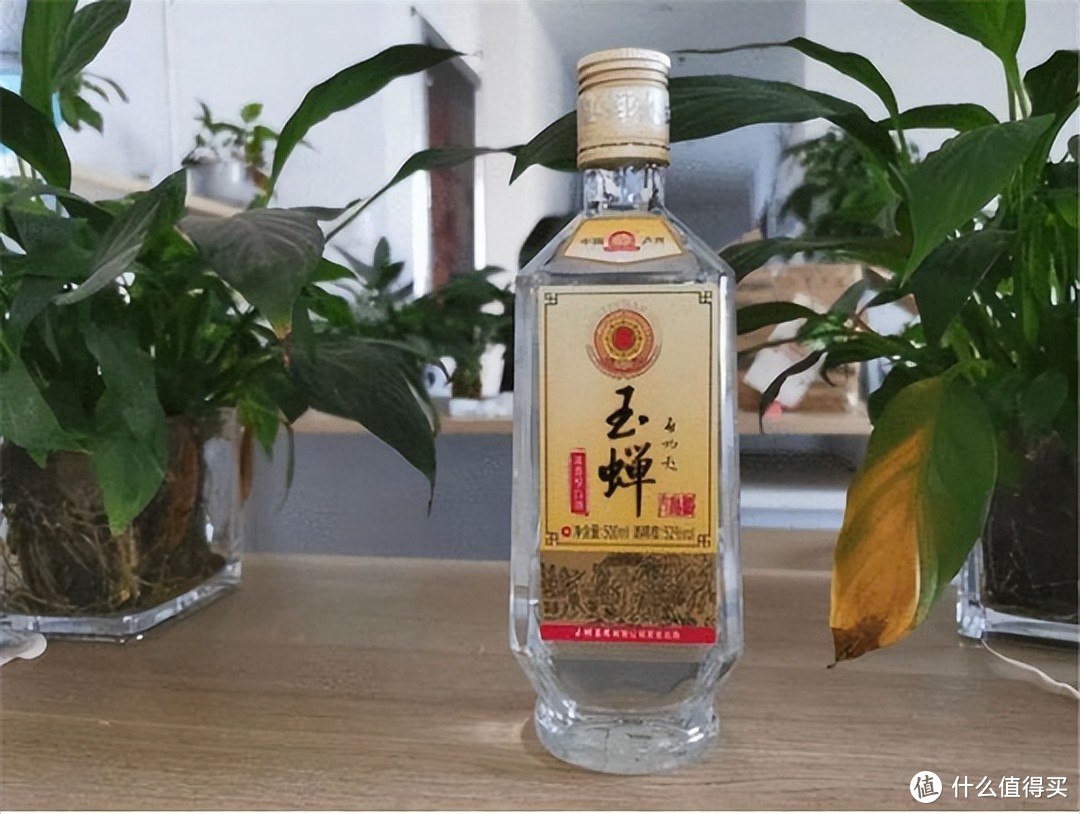 光瓶酒中的王者,它可是川酒的老品牌了,採用五糧精製釀造和雙輪底工藝