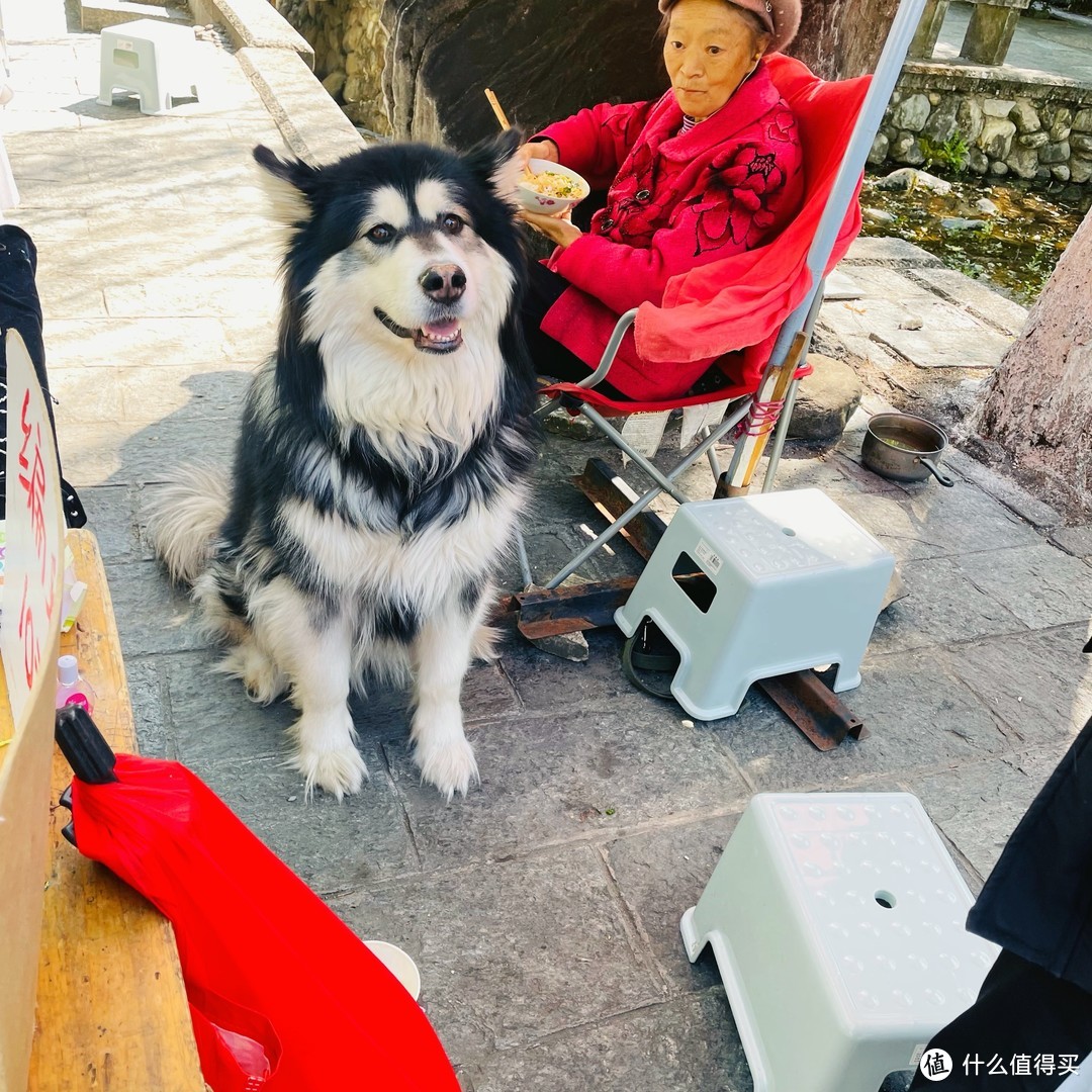 再次来到彩云之南，精品小团五人行旅途中各种小惊喜分享给大家，跟我一起云旅行吧～