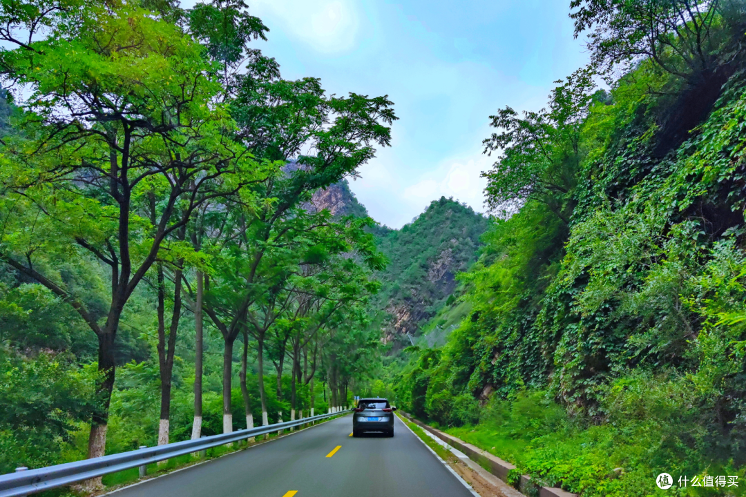 漫山遍野开满山花北京周边昌赤路自驾你们觉得美吗