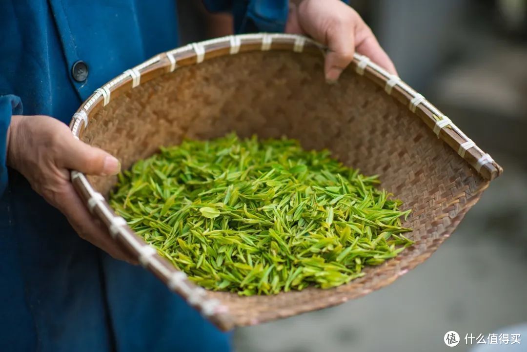 我说杭州的春日顶流是它，总没错吧！