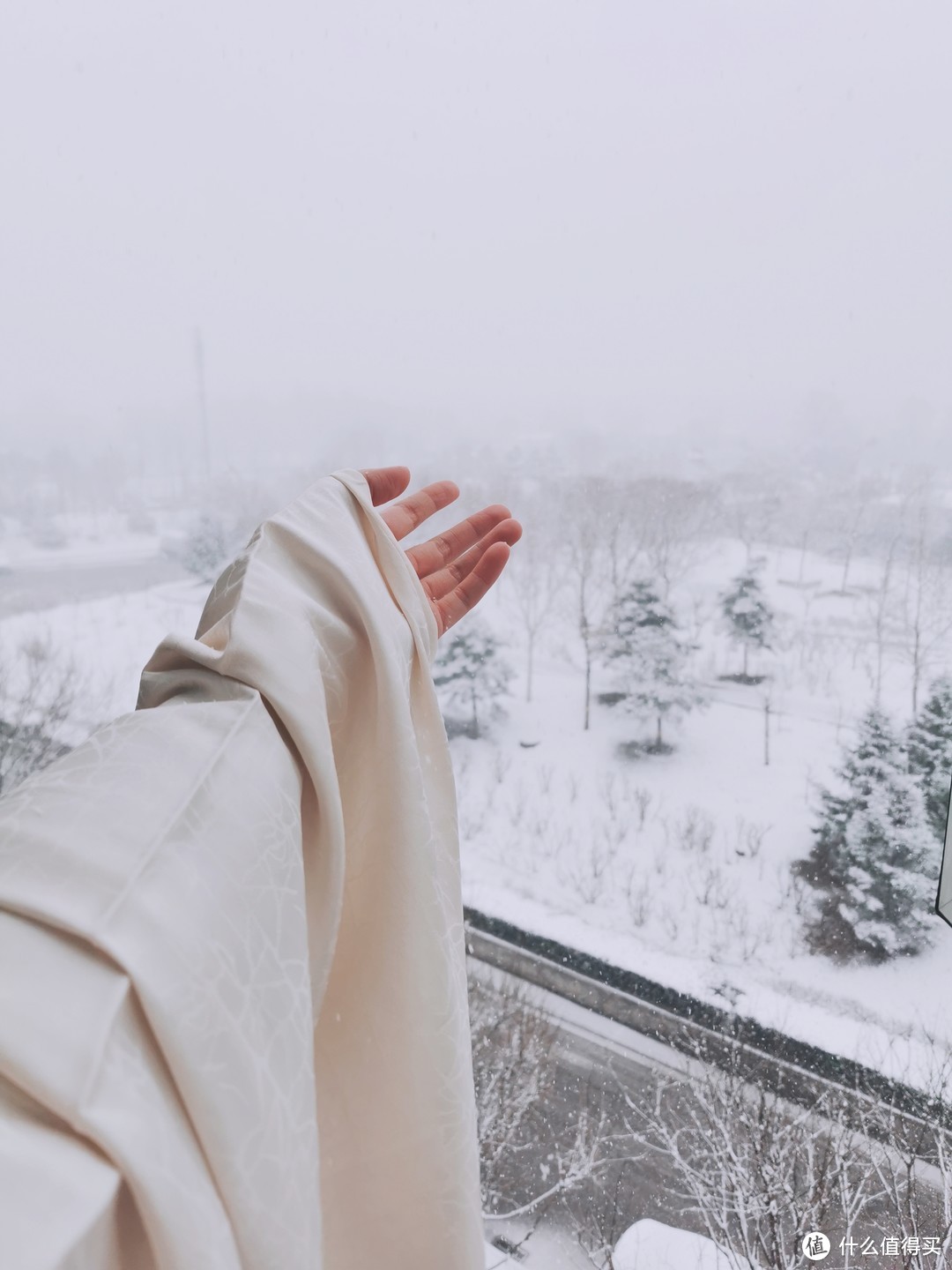 下雪伸手的图片图片