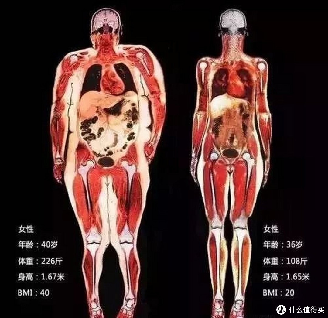 半年减掉16斤，最精简的徒手训练入门装备清单！