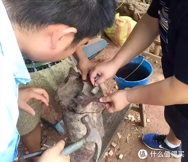 花几十万买了根海黄木料，切开后全是水泥，花钱却买了教训