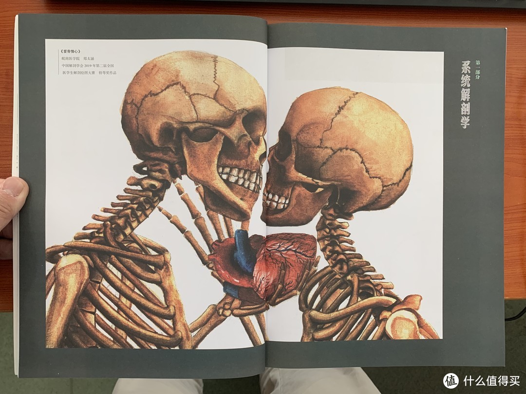 图书馆猿の2022读书计划42：《零基础绘图学解剖》