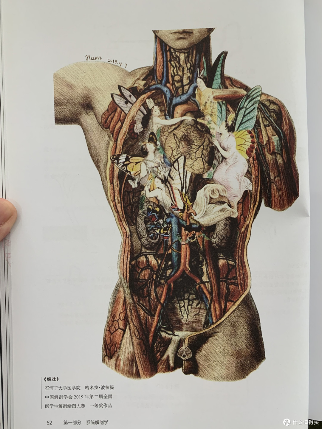 图书馆猿の2022读书计划42零基础绘图学解剖