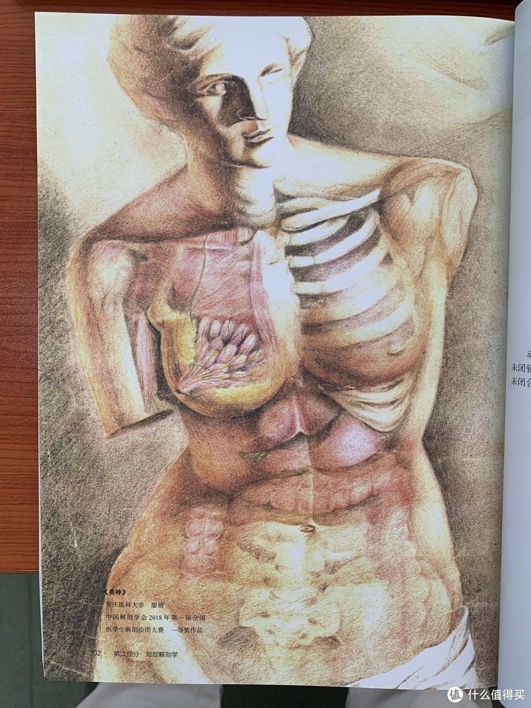 图书馆猿の2022读书计划42：《零基础绘图学解剖》