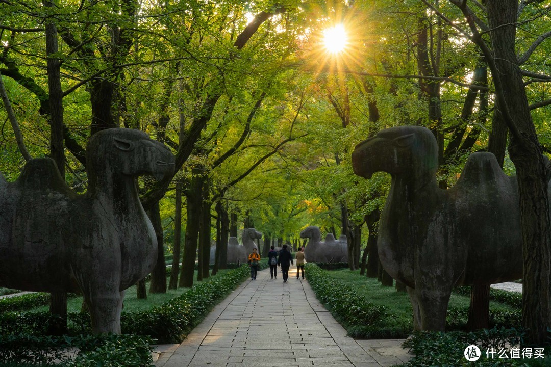 推荐一些南京“不那么热门”的旅游景点