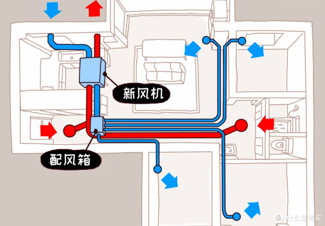 求求大家，别再为了装修甲醛交智商税了！