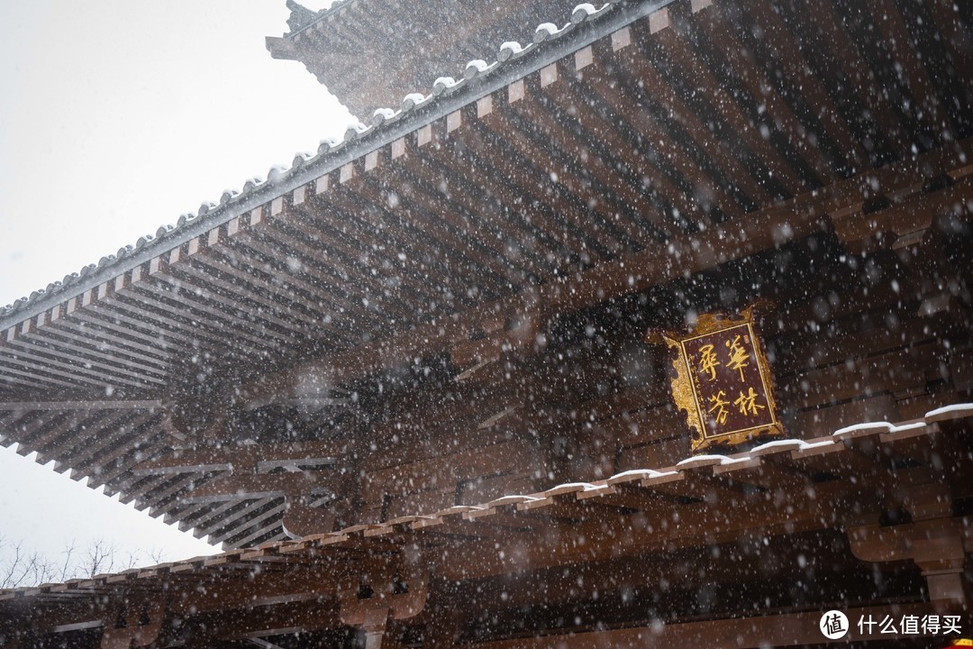 园博园在回程的途中，本计划住一晚休息一下返程，结果晚上下起了不可多得的大雪，于是取消了回程计划，冒着大雪折回南京城里继续拍照