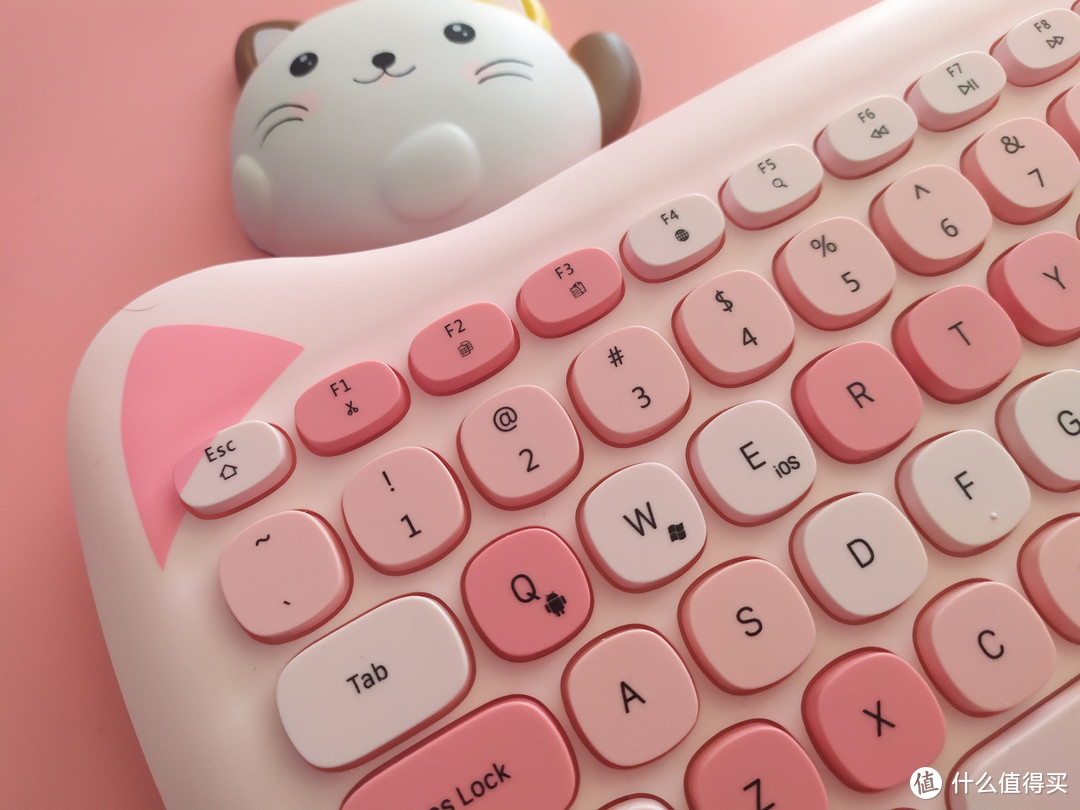 猫猫萌趣，这键盘使用起来怎么样？