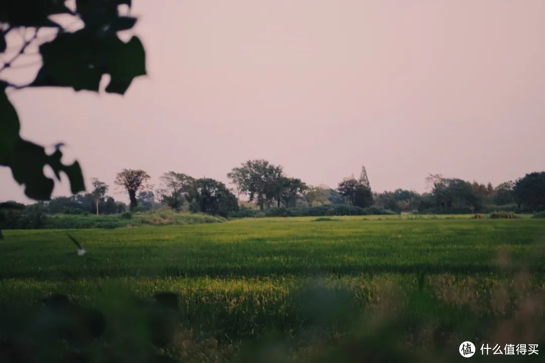 又是大为震撼的一天，我直接穿越了5000年