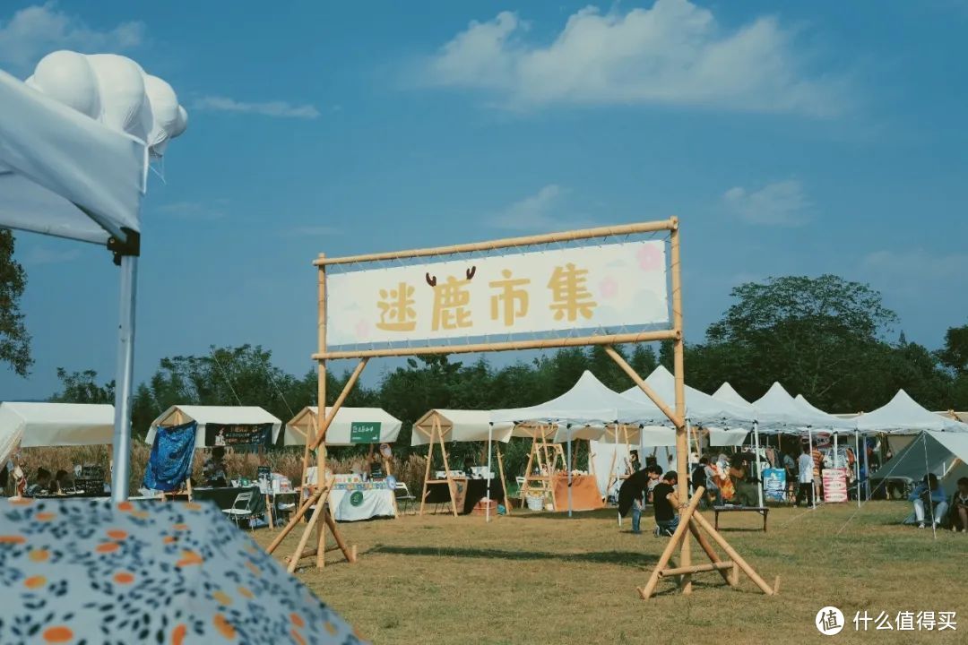 又是大为震撼的一天，我直接穿越了5000年