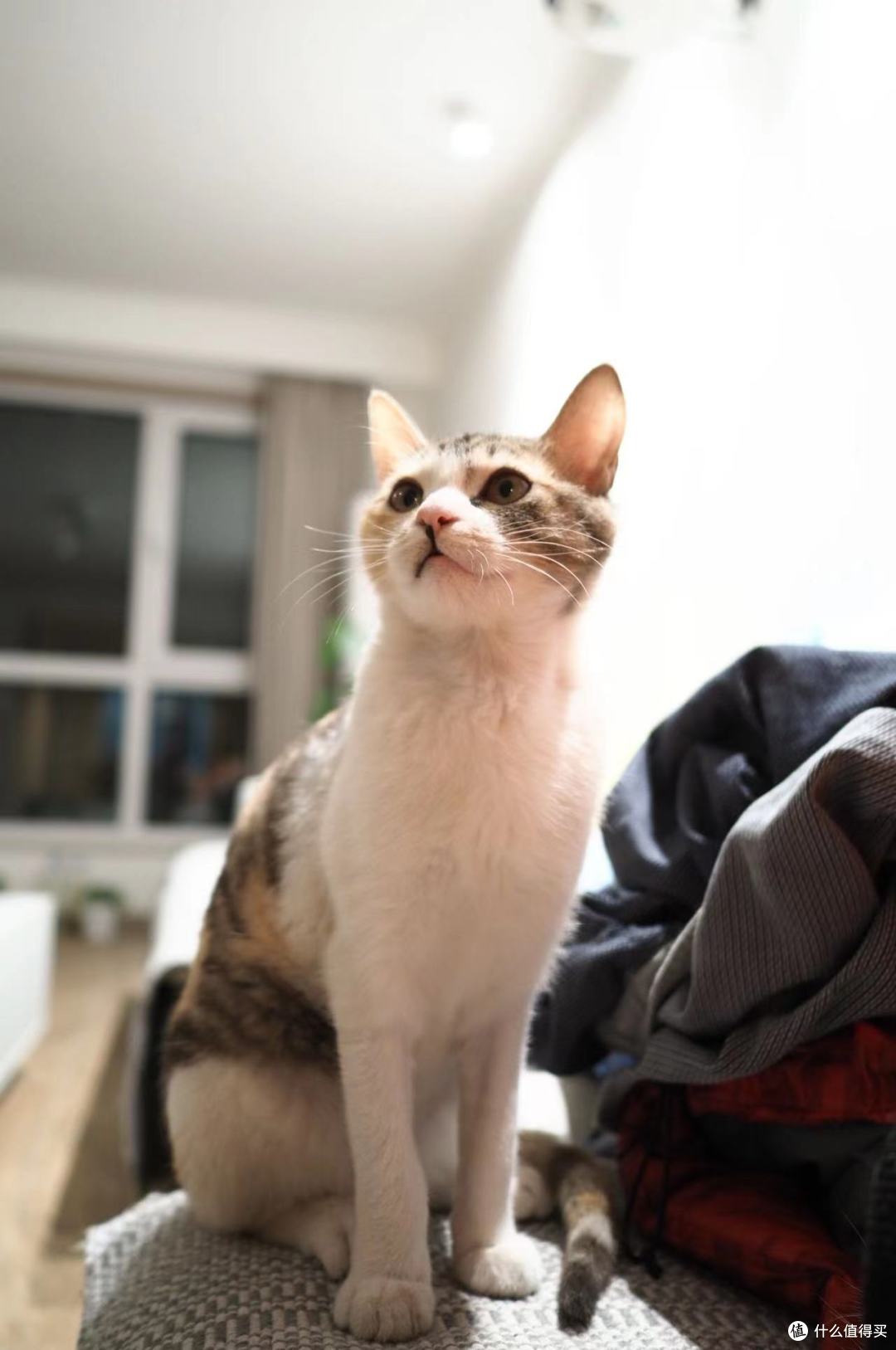 疫情之下仓鼠症患者的仓储攻略