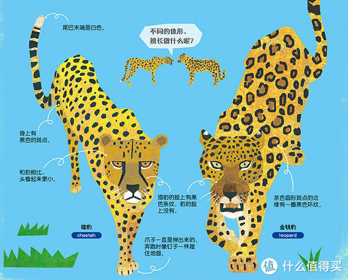 3-6岁童书闭眼入【习惯/科普/数学/人文】精选书单请（绝对不重样，文末有彩蛋）