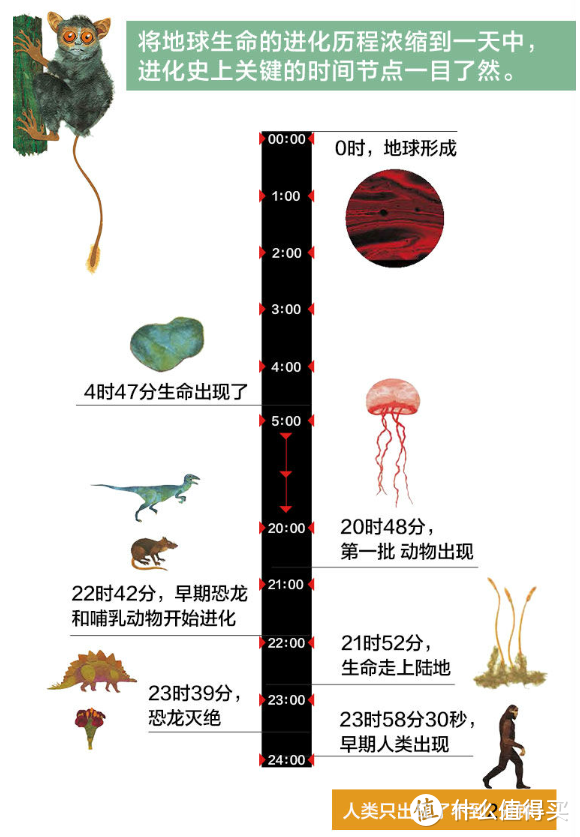 3-6岁童书闭眼入【习惯/科普/数学/人文】精选书单请（绝对不重样，文末有彩蛋）