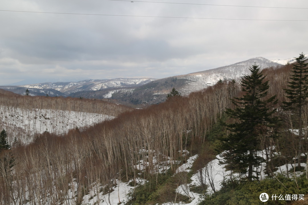 【函馆-北斗-松前城-洞爷湖-札幌-小樽】札幌漫步