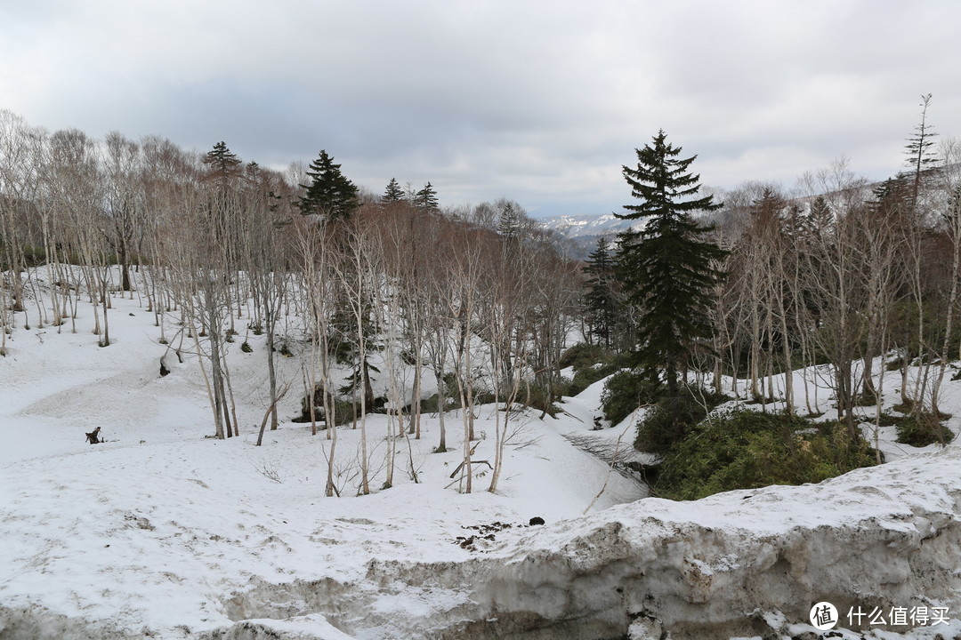 【函馆-北斗-松前城-洞爷湖-札幌-小樽】札幌漫步