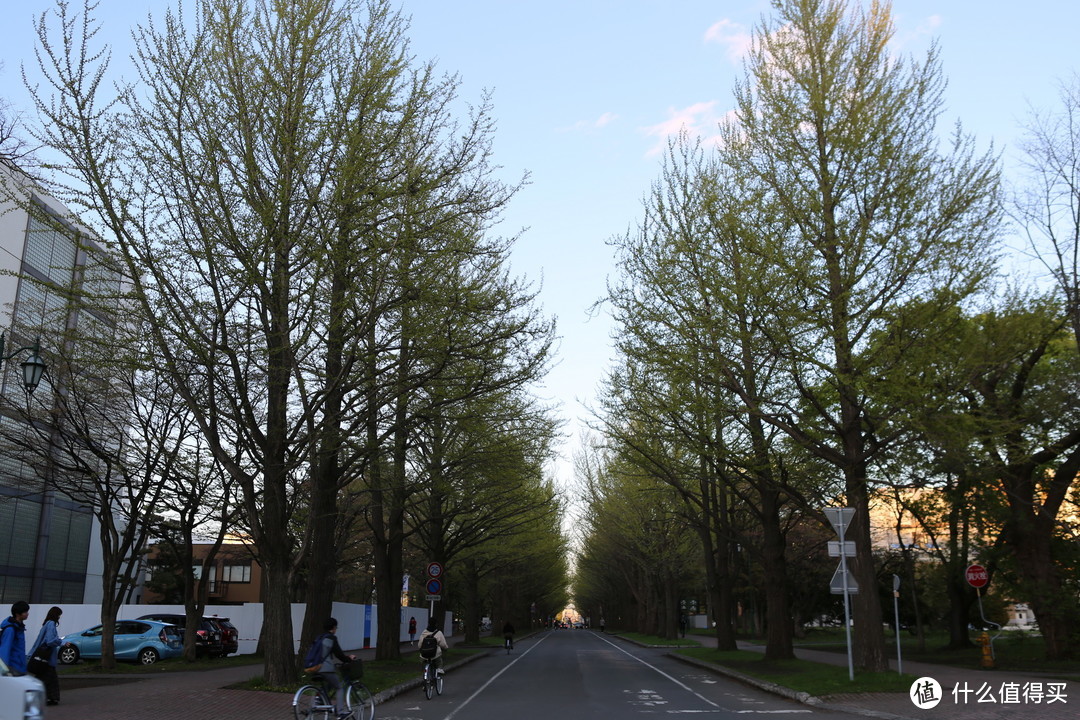 【函馆-北斗-松前城-洞爷湖-札幌-小樽】札幌漫步