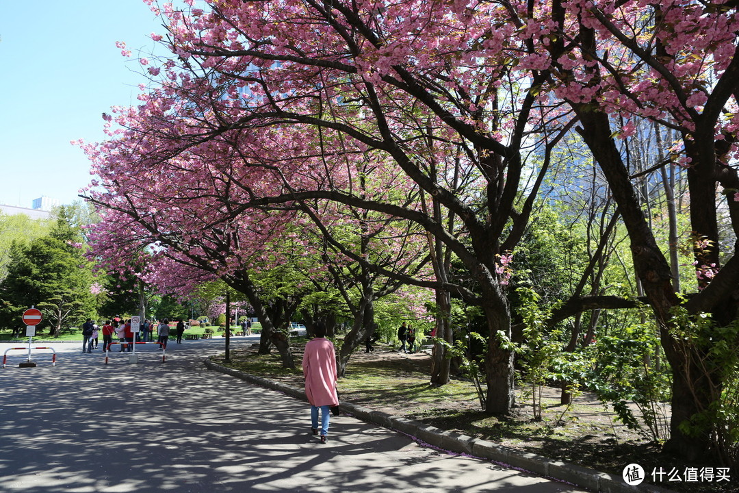 【函馆-北斗-松前城-洞爷湖-札幌-小樽】札幌漫步