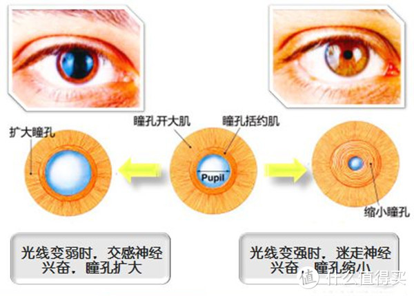 有了落地灯，家里的光线有了哪些变化