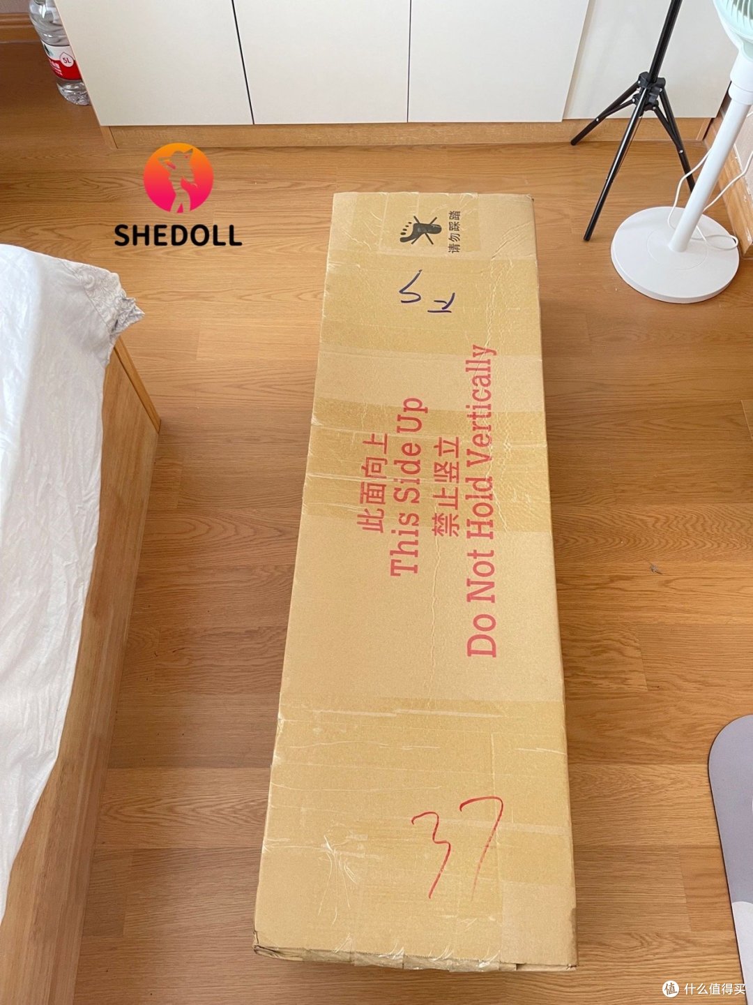 shedoll实体娃娃洛伊开箱