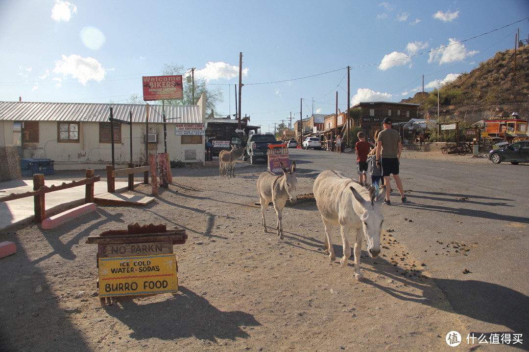 奥特曼小镇主街道上的游客和野驴