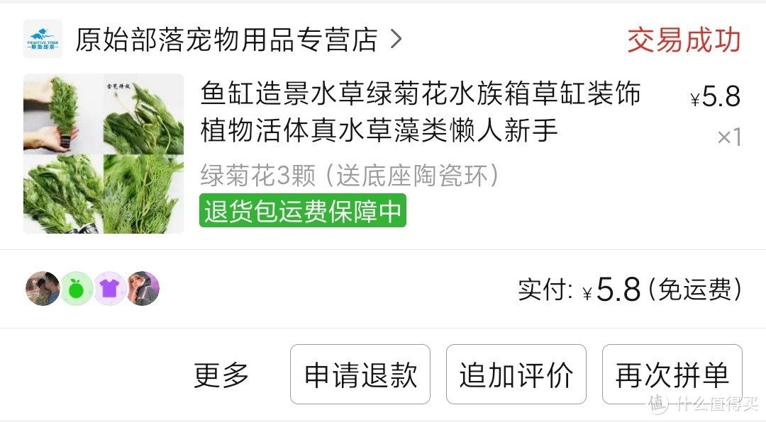 水草放进鱼缸后发现缸壁爬出来一只小螺