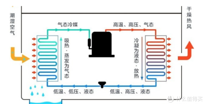 2022年烘干机推荐：小型烘干机好不好用？实测木卫烘干机