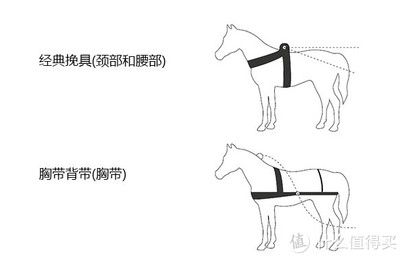 宠物闲谈，闲谈宠物｜大多数养狗子的铲屎官为什么选择胸背带而不是项圈，这里面可是有故事的～