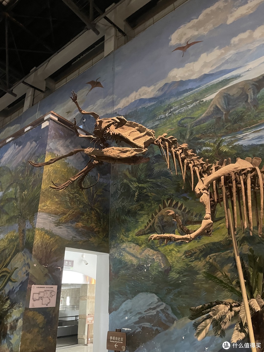 五一不知道去哪，还是宅家吗？不如带着孩子来自贡恐龙博物馆来个一眼一亿年的会面吧。