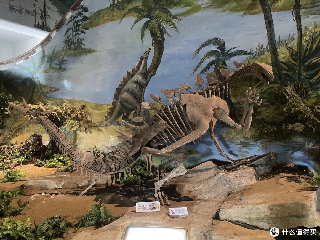 五一不知道去哪，还是宅家吗？不如带着孩子来自贡恐龙博物馆来个一眼一亿年的会面吧。