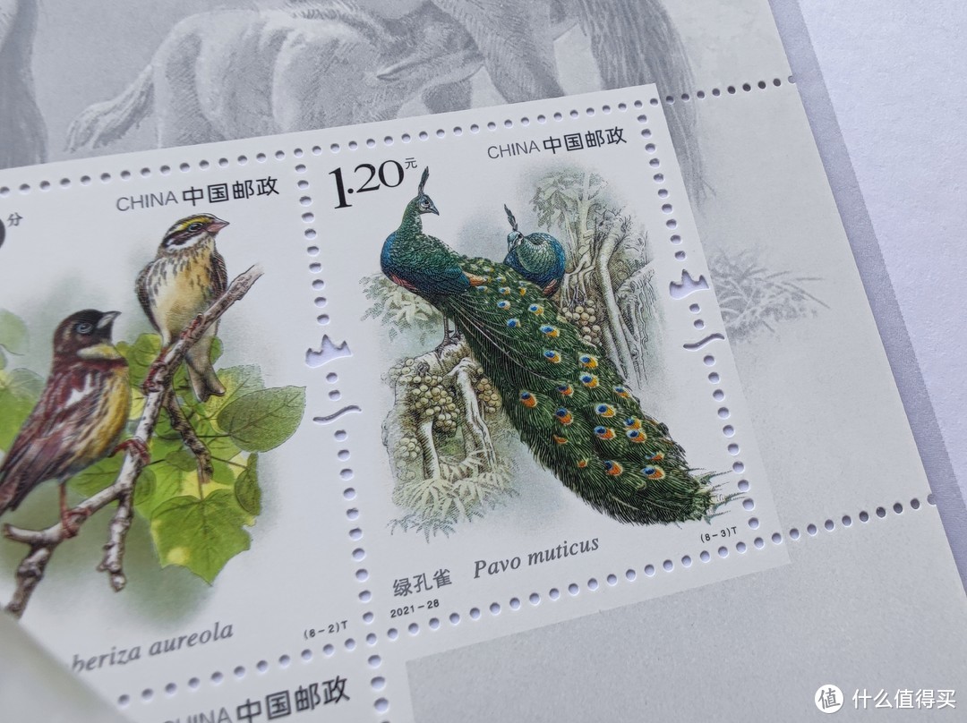 《2021中国邮票》集邮册小晒