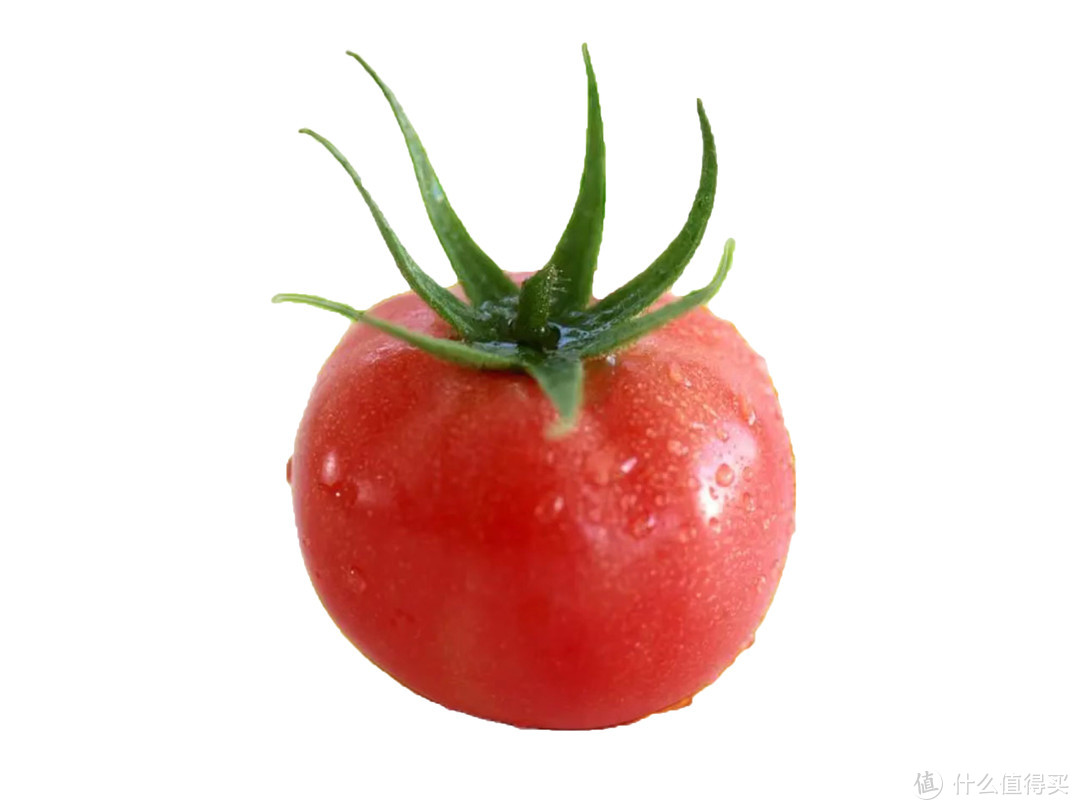 西红柿，5叶与6叶有什么差别？真相让人意想不到，别再道听途说