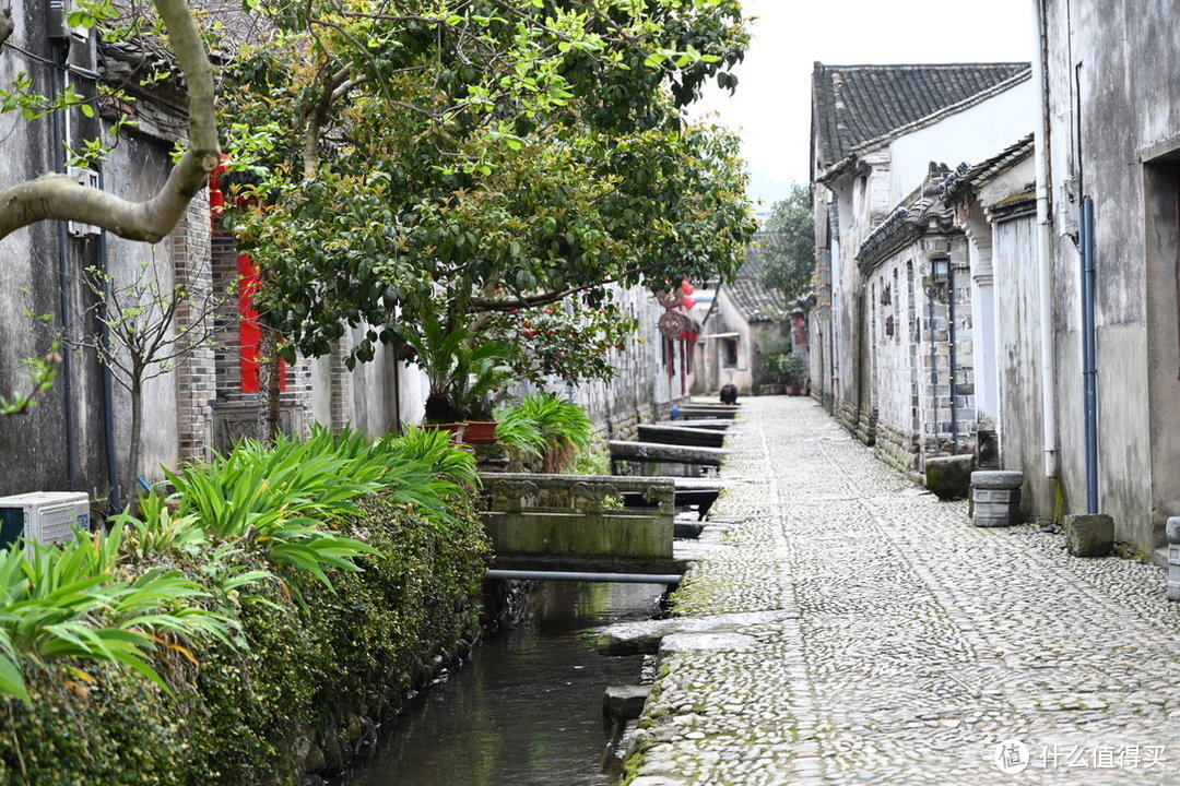 原来浙江才是中国的宝藏旅游地！这里可玩的真不少！